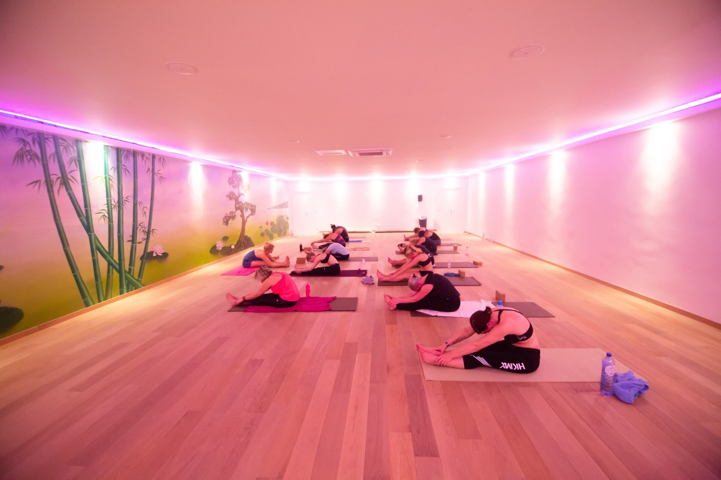 Helemaal Zen met Acoustix.