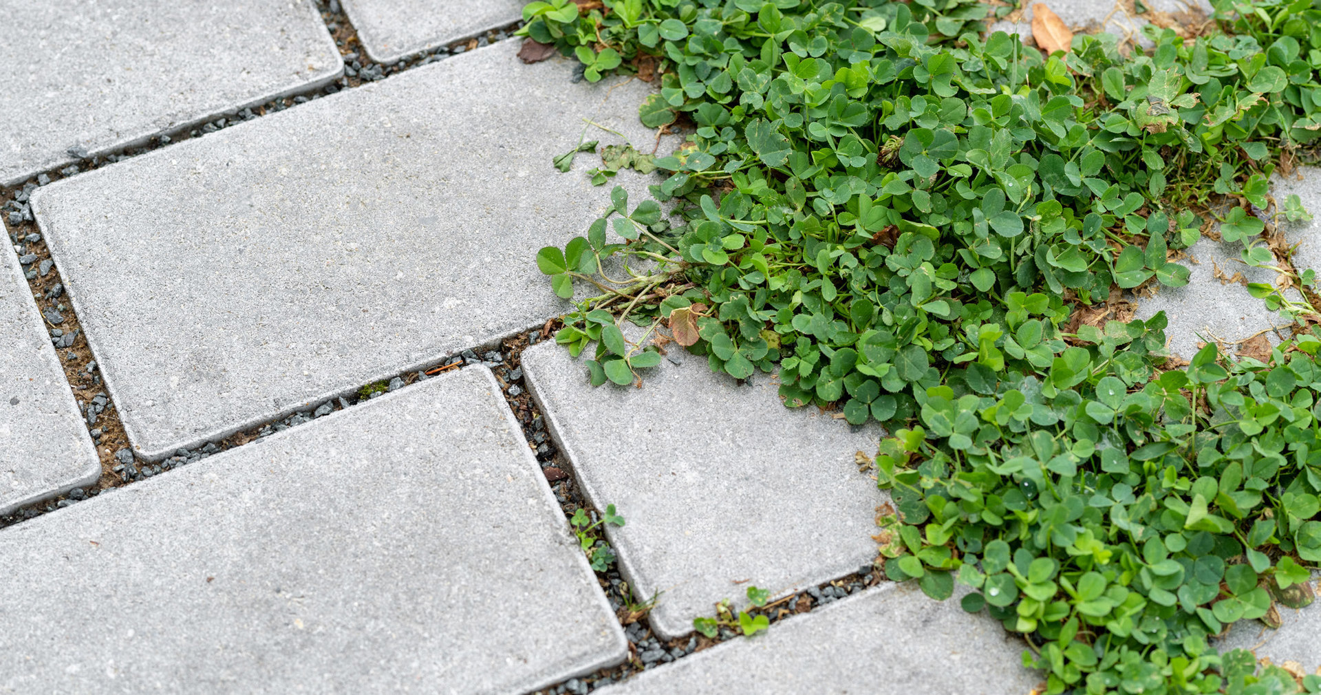 Oprit, terras of parkeerplaats aanleggen in Vlaanderen? Zo voldoe je aan de regels voor hemelwater